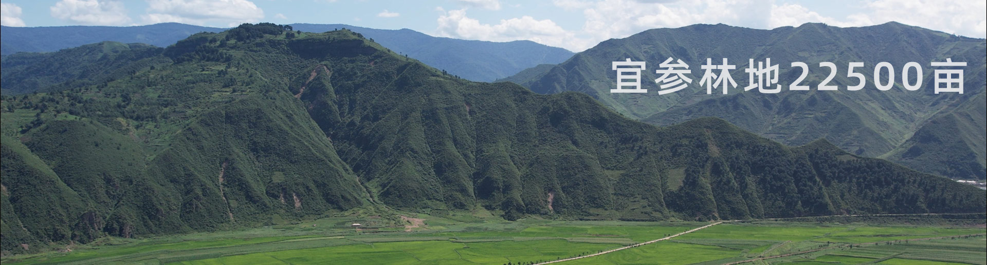 种植基地